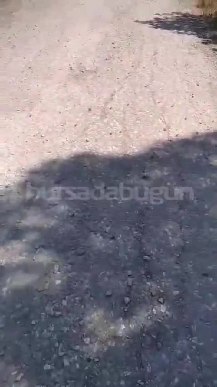Bursa'da tamir sırasında korkutan yangın! Vinç ve biçerdöver alevlere teslim oldu...