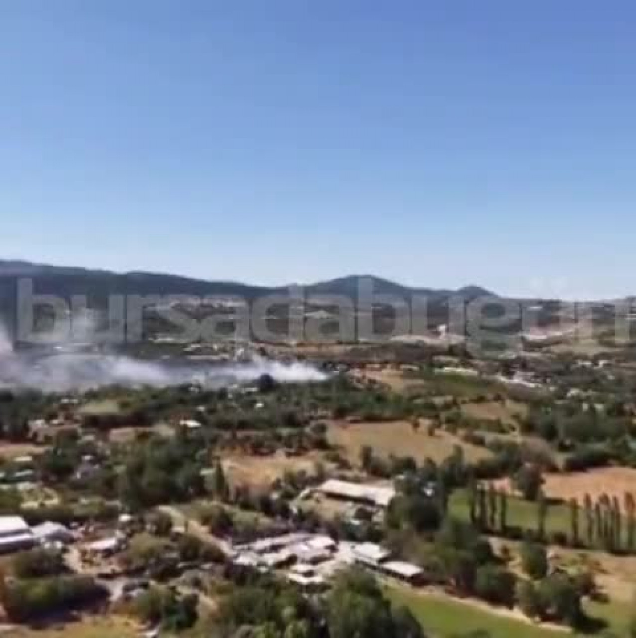 Bursa'da bir yangın haberi daha! Alevler zeytin ağaçlarına sıçradı...