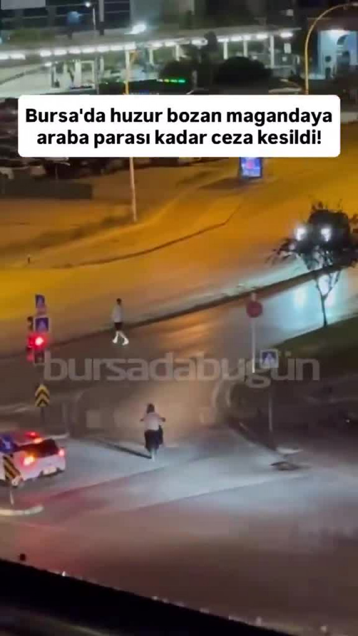 Bursa'da huzur bozan magandaya araba parası kadar ceza kesildi!