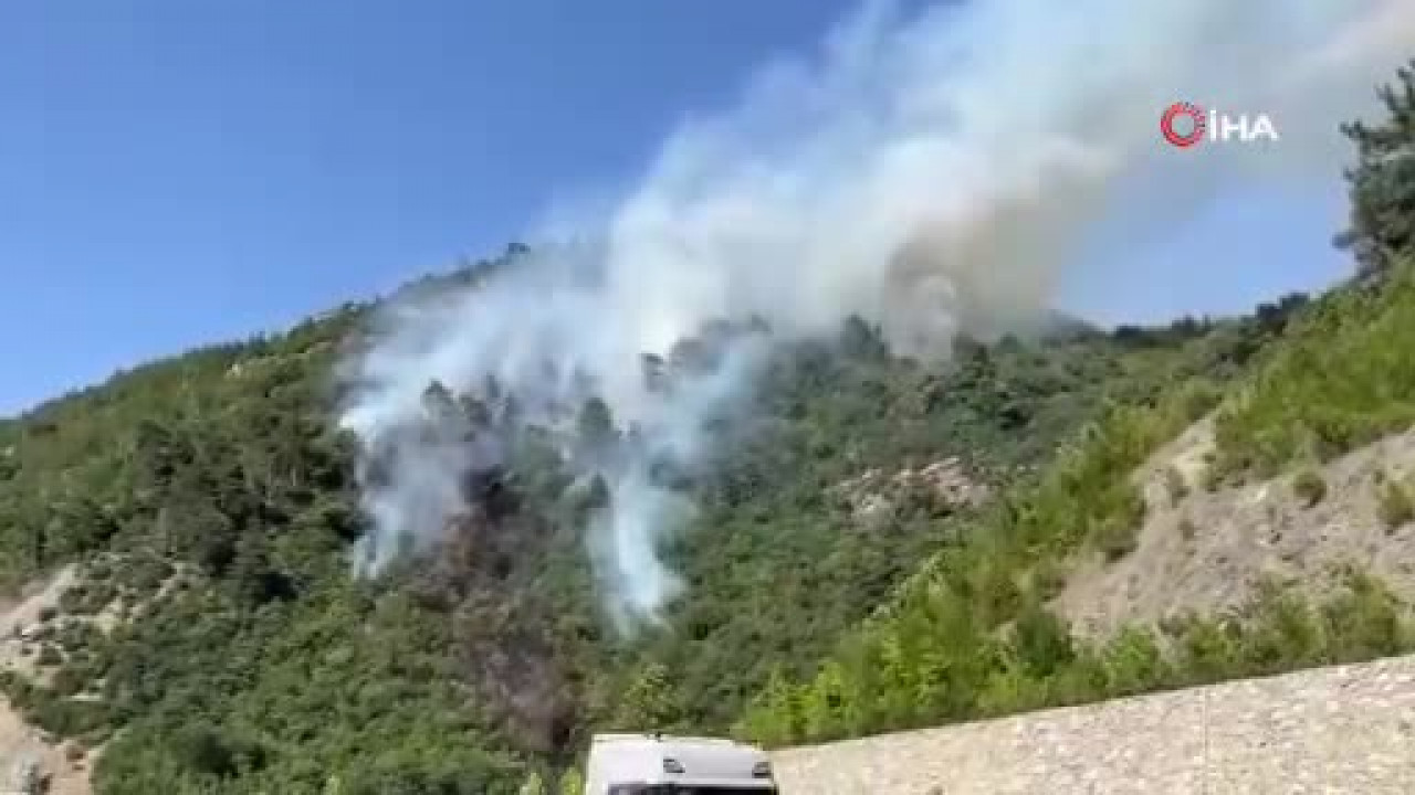 Bursa'da yangın ormanlık alana sıçradı! Alevler villalara doğru ilerliyor...