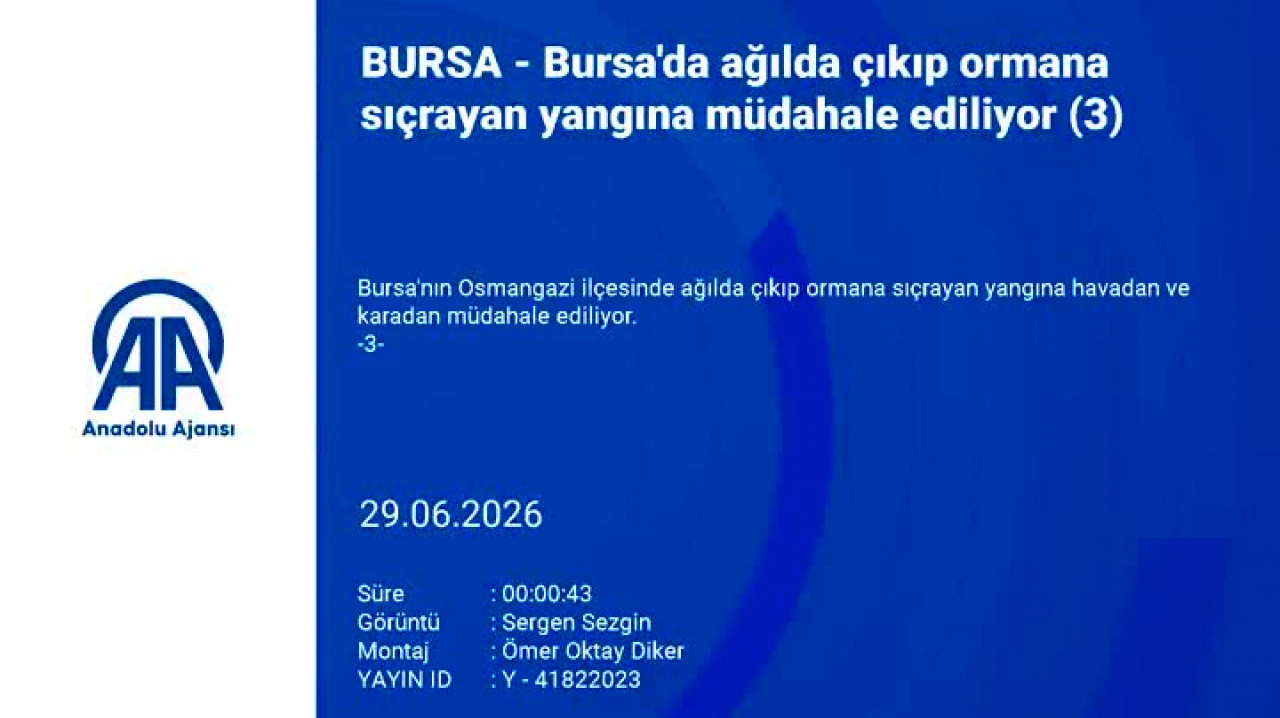 Bursa'da yangın ormanlık alana sıçradı! Alevler villalara doğru ilerliyor...