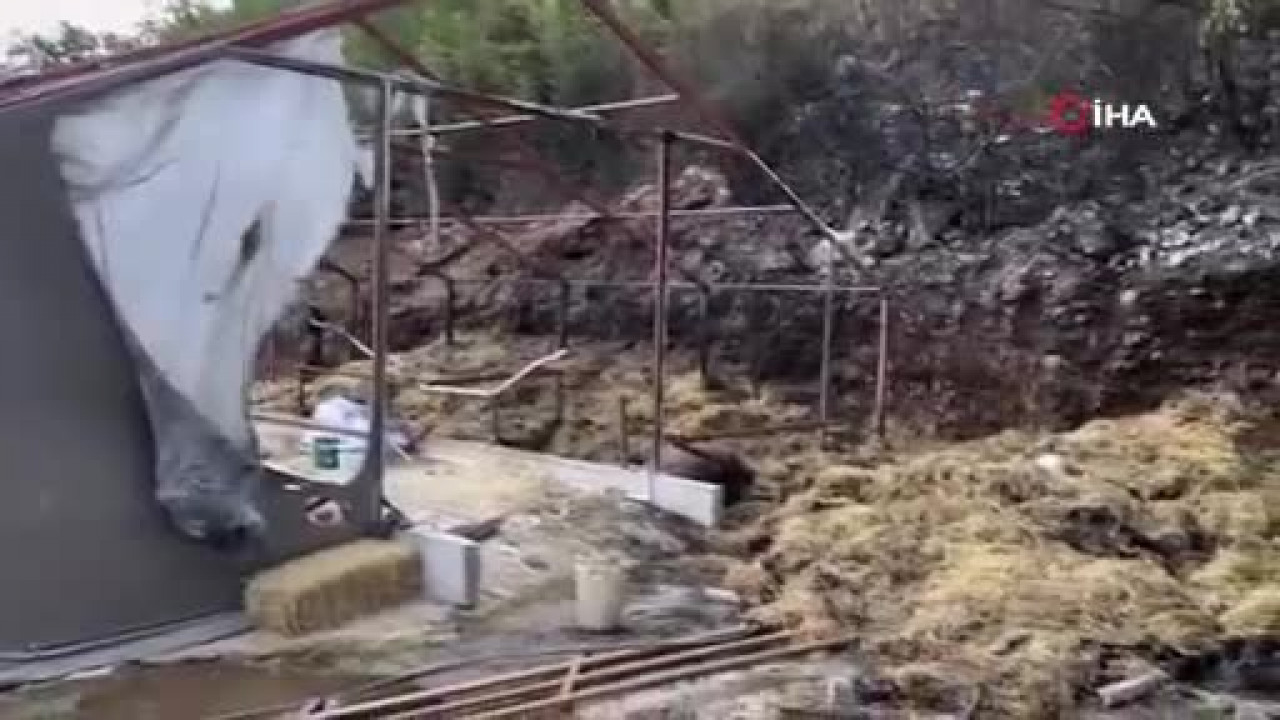 Bursa'daki orman yangını ile ilgili flaş gelişme! 1 kişi gözaltına alındı...