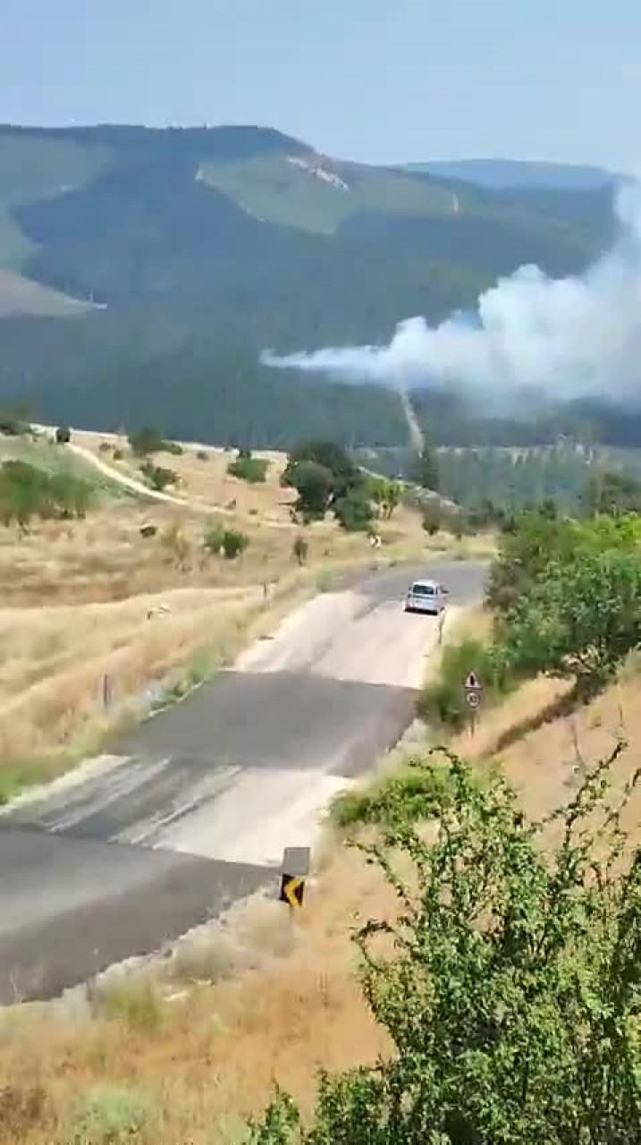 Bursa'da bir orman yangını daha! Alevler hızla büyüdü