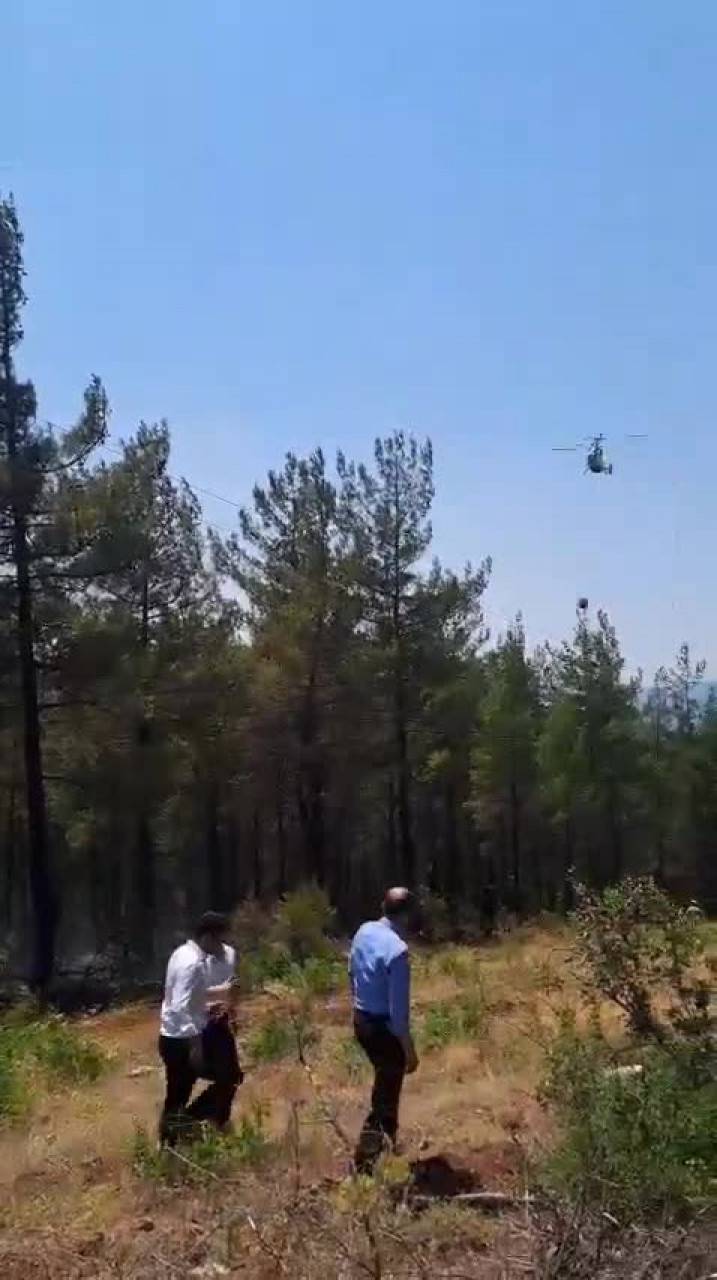 Bursa'da bir orman yangını daha! Alevler hızla büyüdü