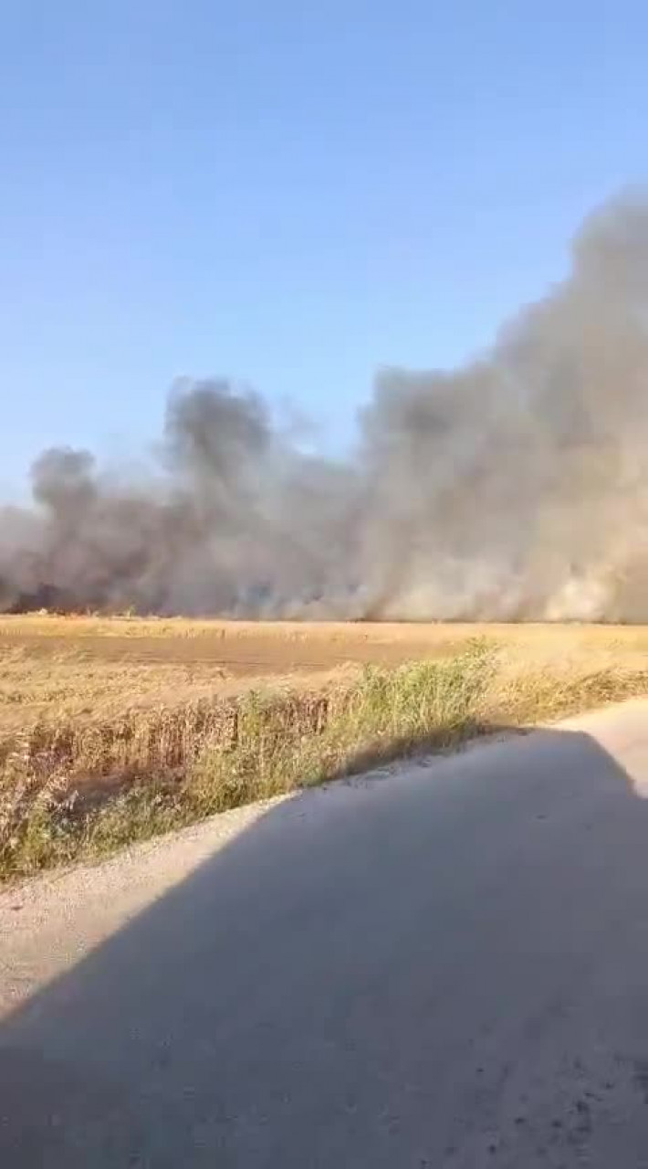 Bursa'da bir yangında daha! Ekiplerin müdahalesi sürüyor...