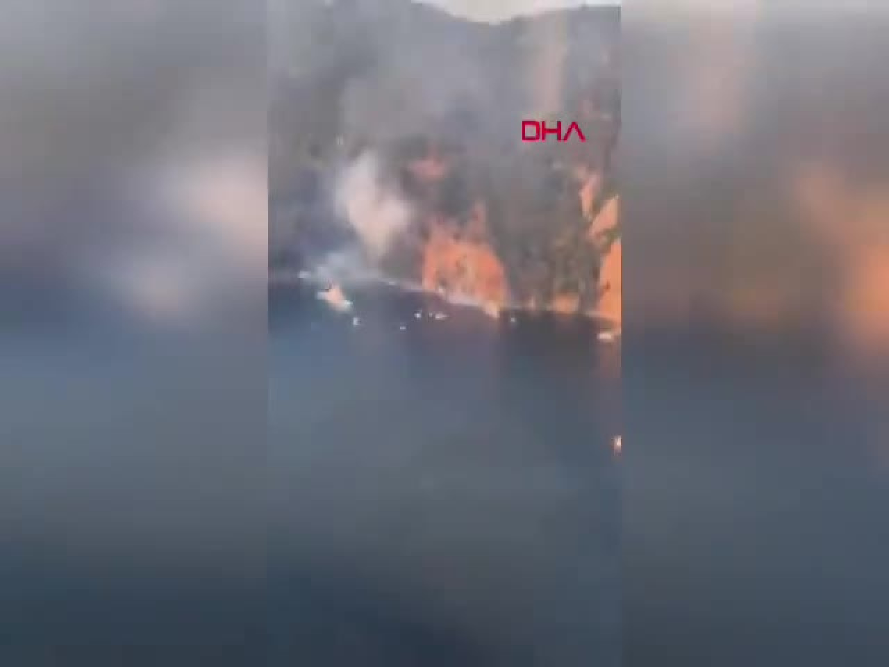 İstanbul Büyükada'da yangın paniği!