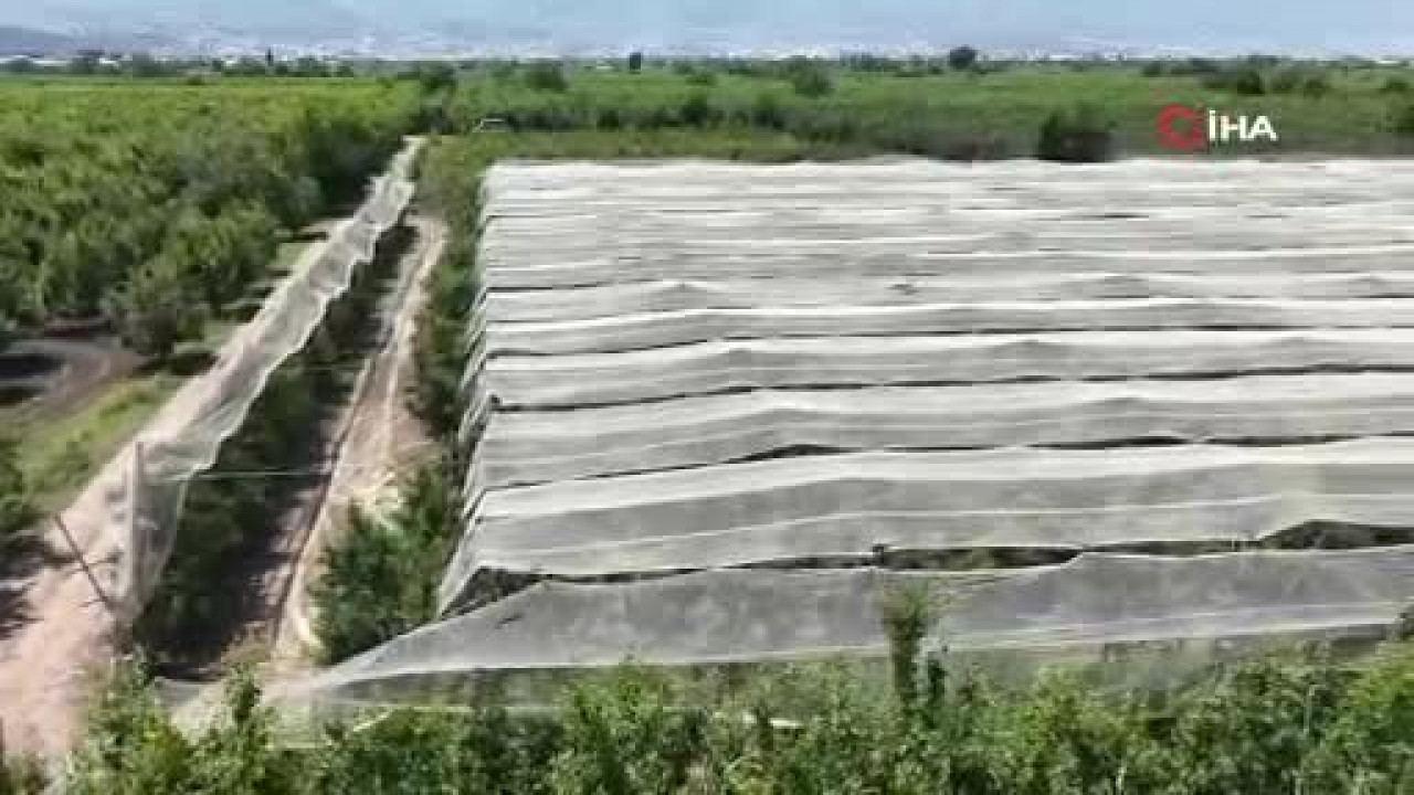 Bursalılar geçen yıldan ders çıkardı! Maliyeti 200 bin lirayı buluyor...