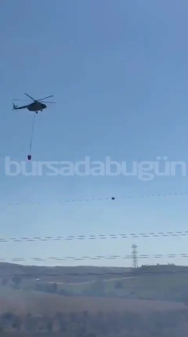 Bursa'da Orman Yangını! Havadan müdahale başladı...