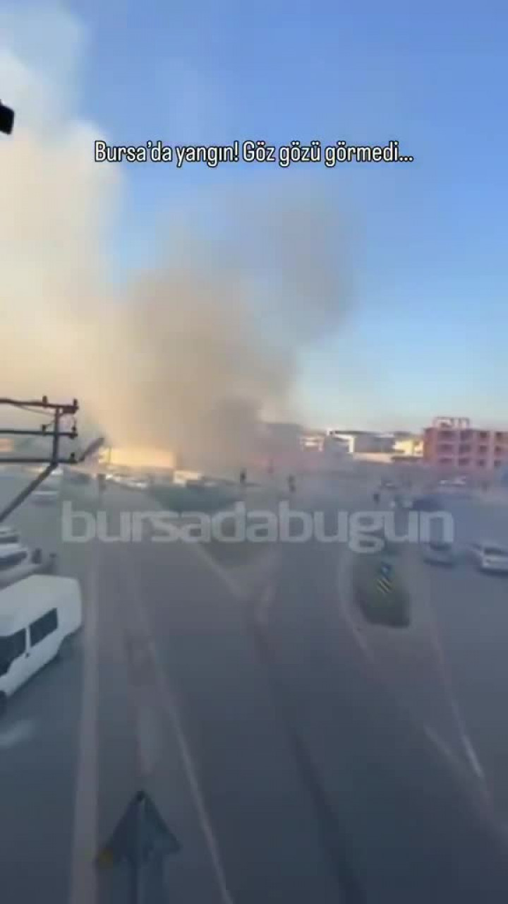 Bursa'da tarlada yangın! Dumandan göz gözü görmedi...