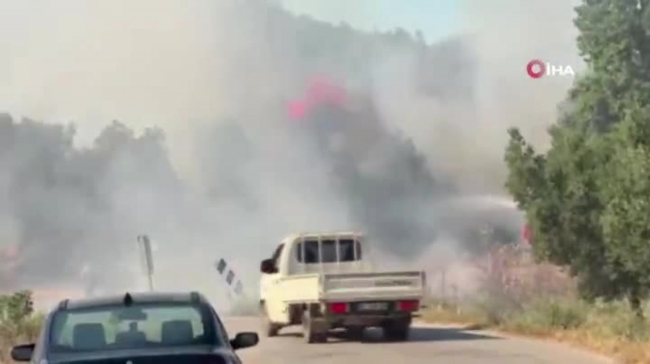 Bursa'da orman yangını! Alevler rüzgarın etkisiyle yayıldı