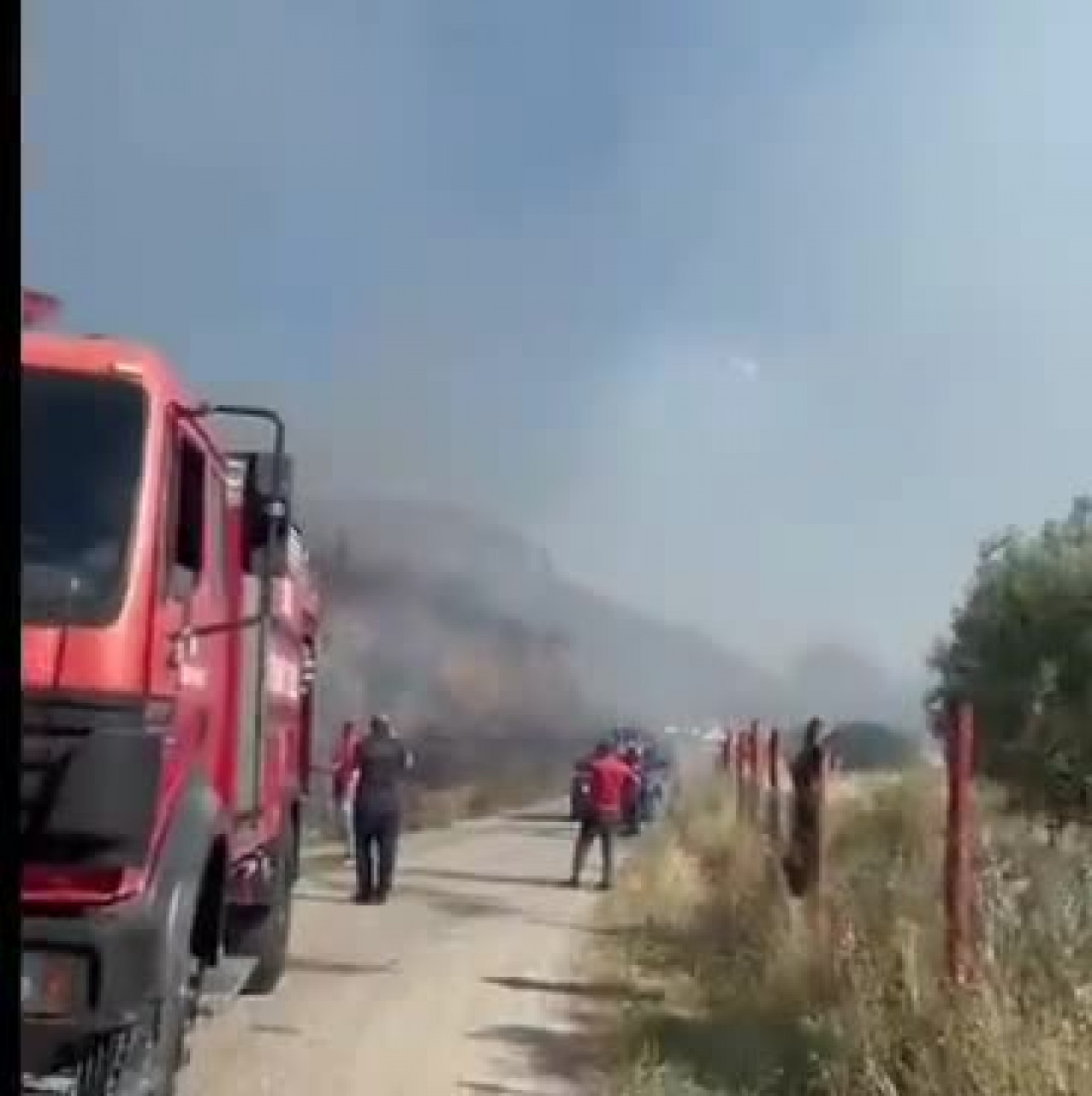 İznik'te korkutan yangın! Ormana sıçramaması için havadan karadan müdahale...