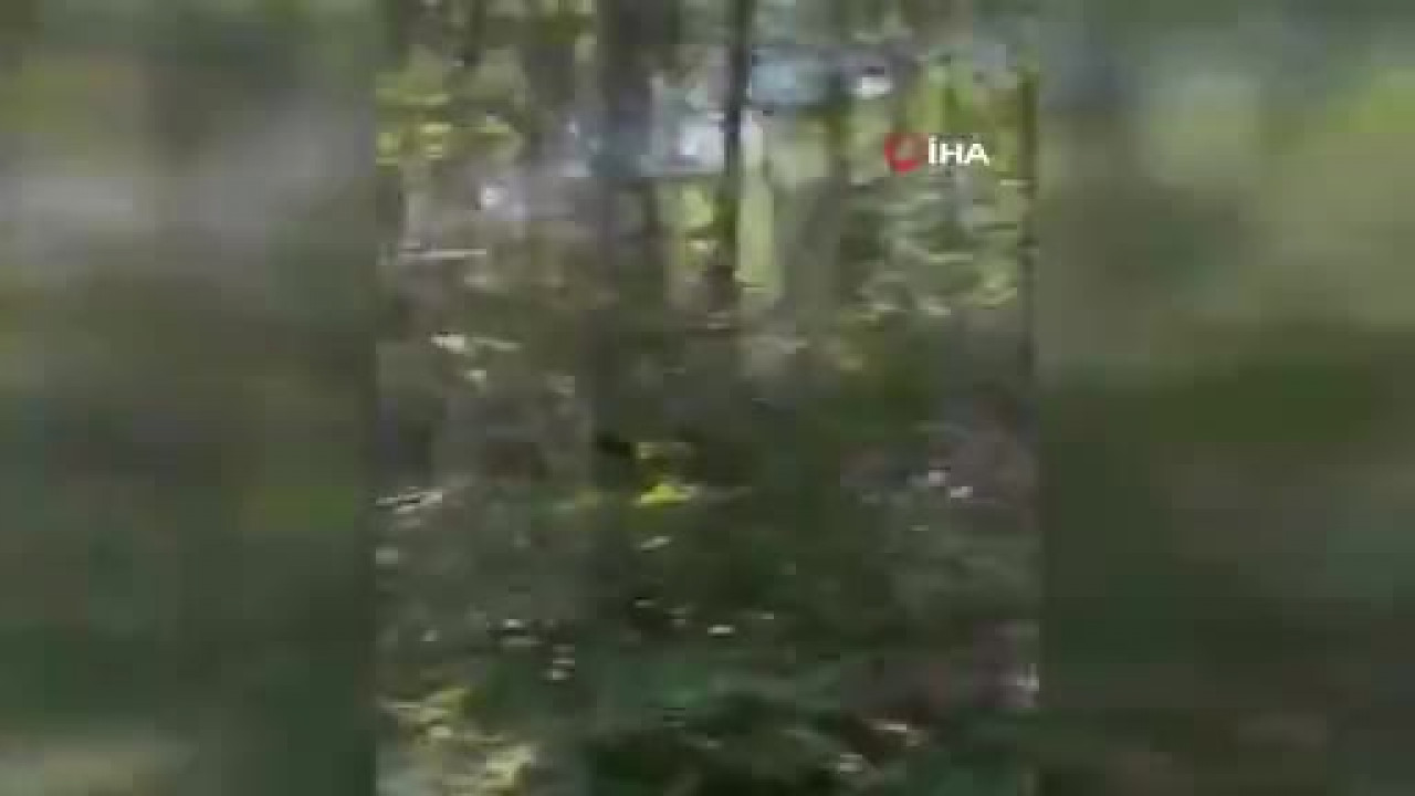 Bursa'da bir orman yangını daha! Bu kez farklı noktada alevler yükseldi