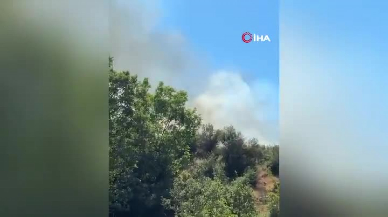 Kestel'de orman yangını