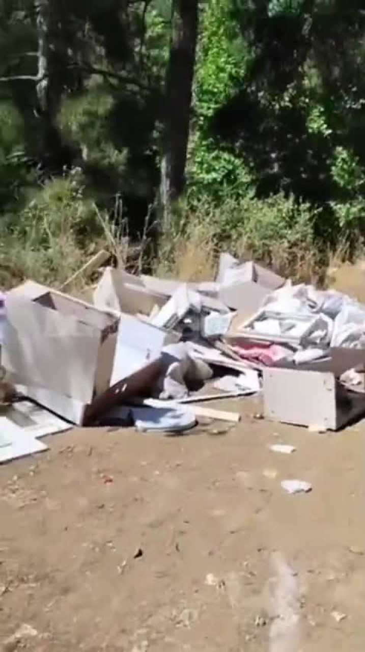 Bursa'da ormanlık alanı çöplüğe çevirdiler! Vatandaşlar yetkililere seslendi