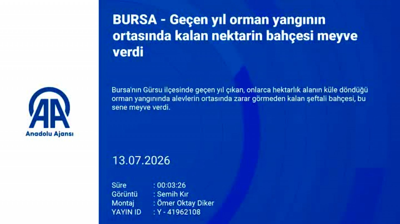 Bursa'daki o bahçenin hikayesi herkesi şaşırtıyor! Mucize gibi...