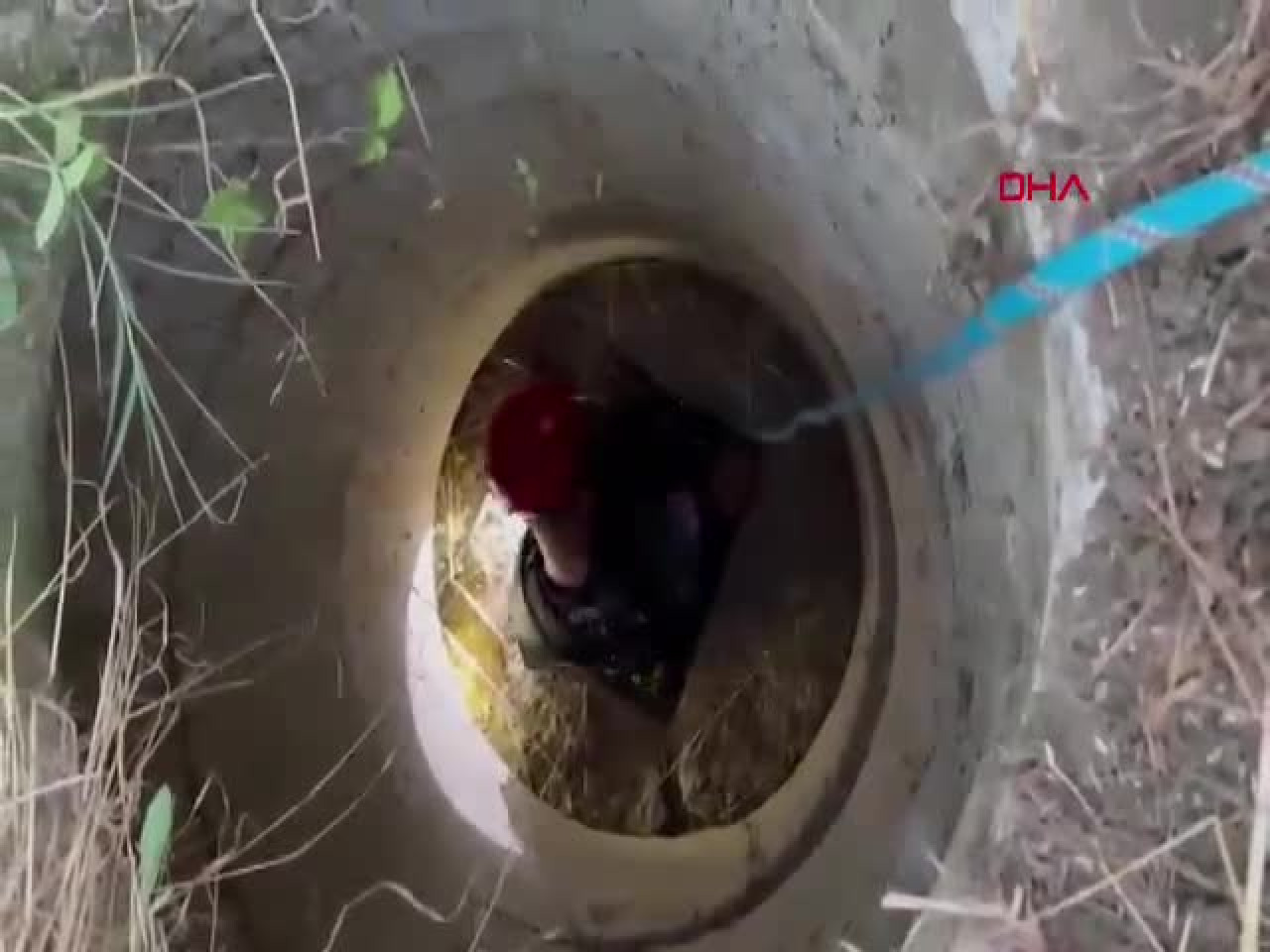 Bursa'da rögara düşen keçiyi itfaiye kurtardı