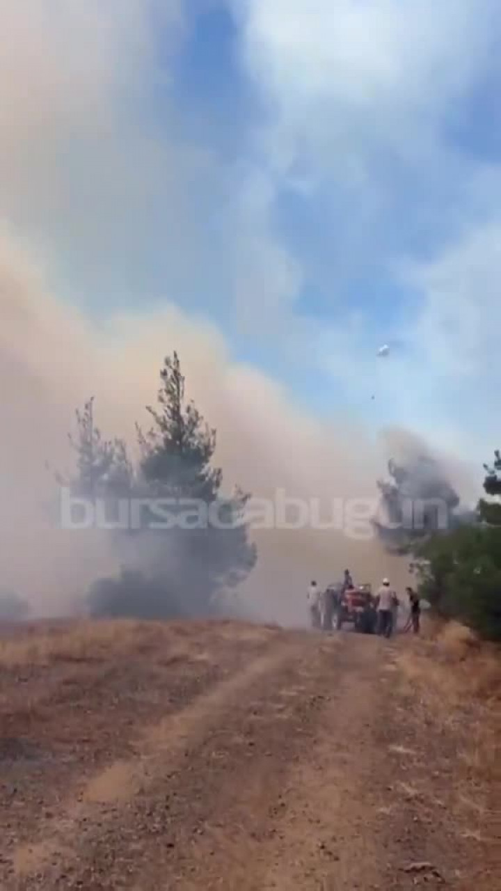 Bursa'da korkutan orman yangını! Havadan ve karadan müdahale başladı