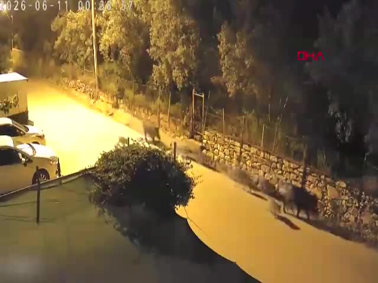 Bursa'da gece yarısı şoke eden görüntü! Mahalleyi bir anda sardılar