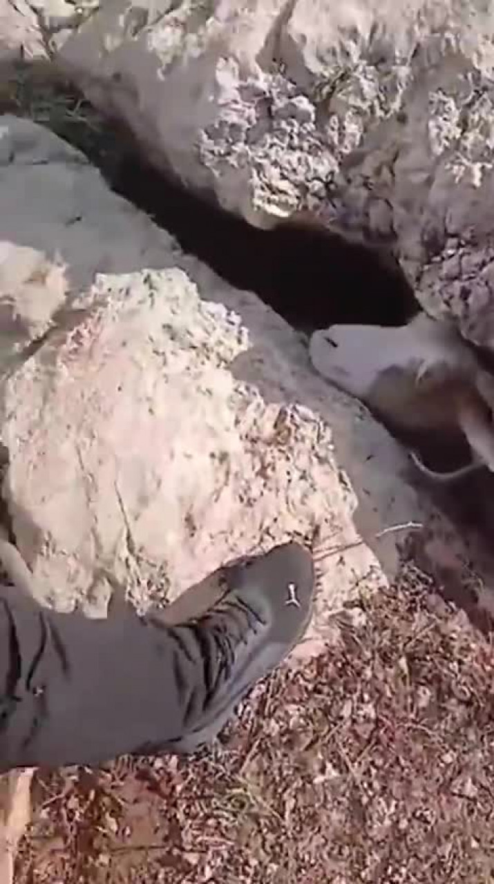 Altın ararken karşılaştıkları manzara karşısında donup kaldılar