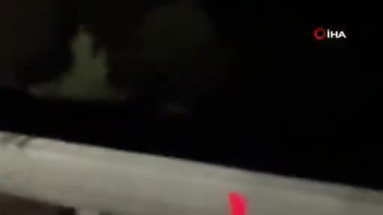 Bursa'da gece karşılarına ayı yavruları çıktı! O anlar kamerada