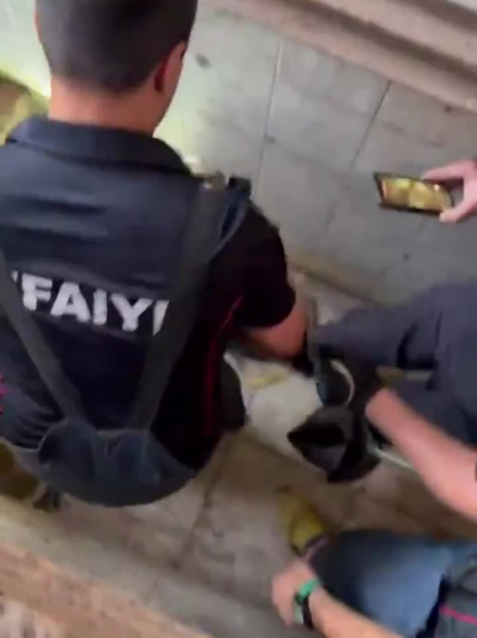 Feribottan indi, aracında gördüğü şey karşısında şoke oldu!