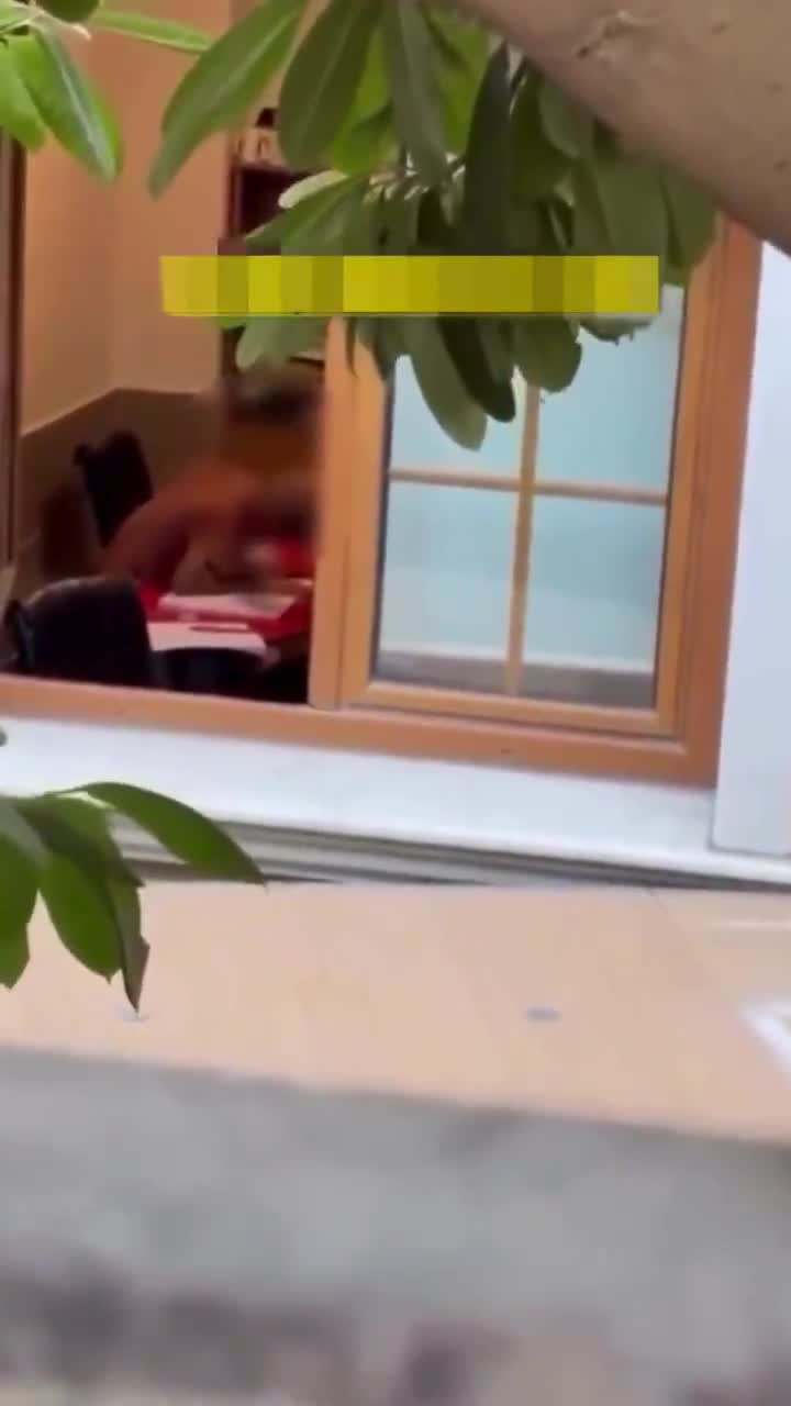 Bir babanın kahrolduğu an! Görüntüleri alıp emniyete koştu