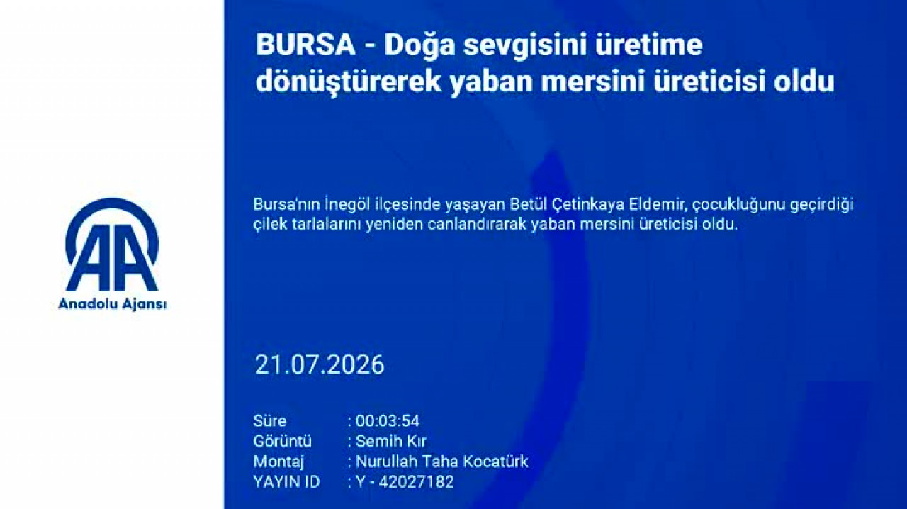 Bursa'da şehir hayatını geride bıraktı! Dedesinden kalan tarlayı yeniden canlandırdı