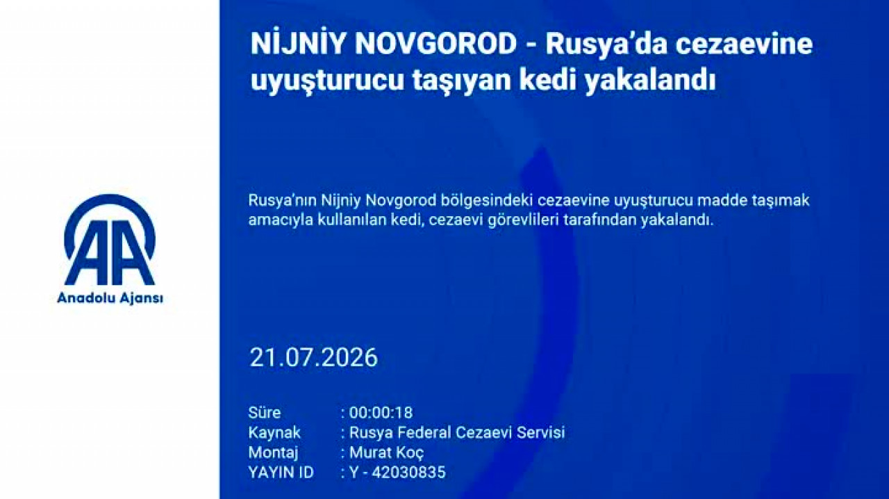 İlginç görüntüler! Cezaevine uyuşturucu taşıyan kedi yakalandı...