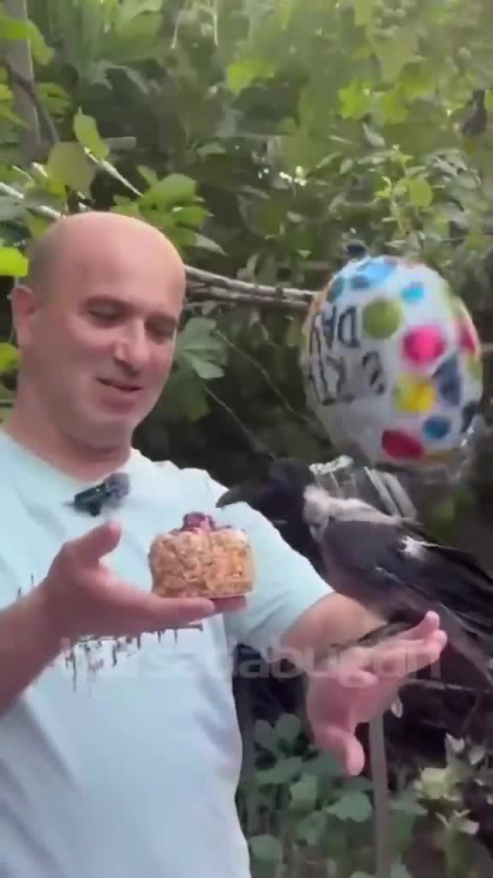 Sosyal medyada viral oldu! Kutlamanın kimin için yapıldığını kimse tahmin edemedi...