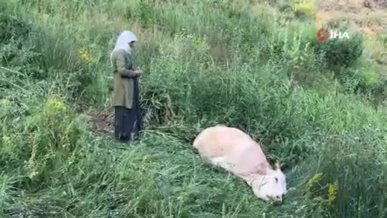 Tek dayanağıydı... Uçurumun kenarında gözyaşlarına boğulan anne herkesi üzdü!