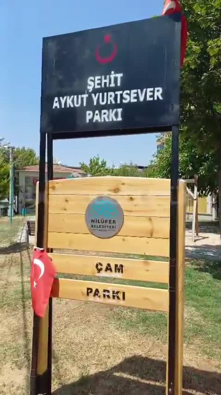 Bursa'da MHP Grubu meclise taşımıştı! Nilüfer Belediyesi Çam Parkı için son kararı duyurdu