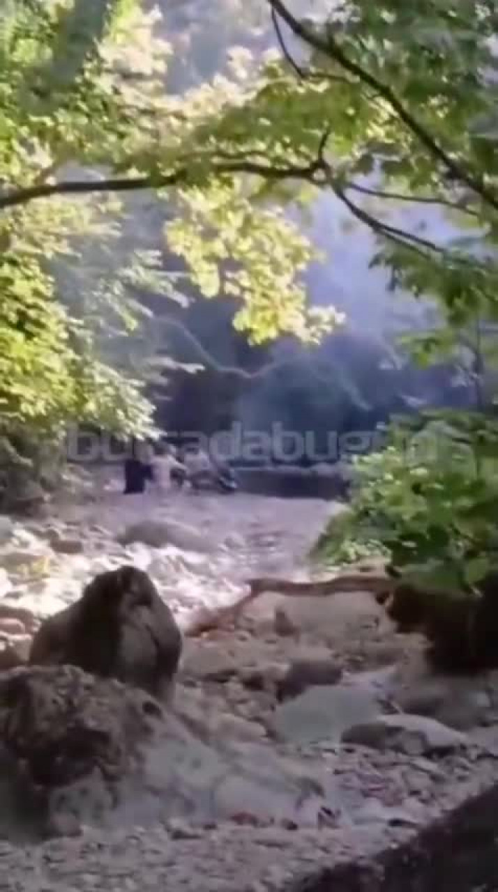 Bursa'nın gözde köyünde tepki çeken görüntüler: Yasağa rağmen dinlemediler!