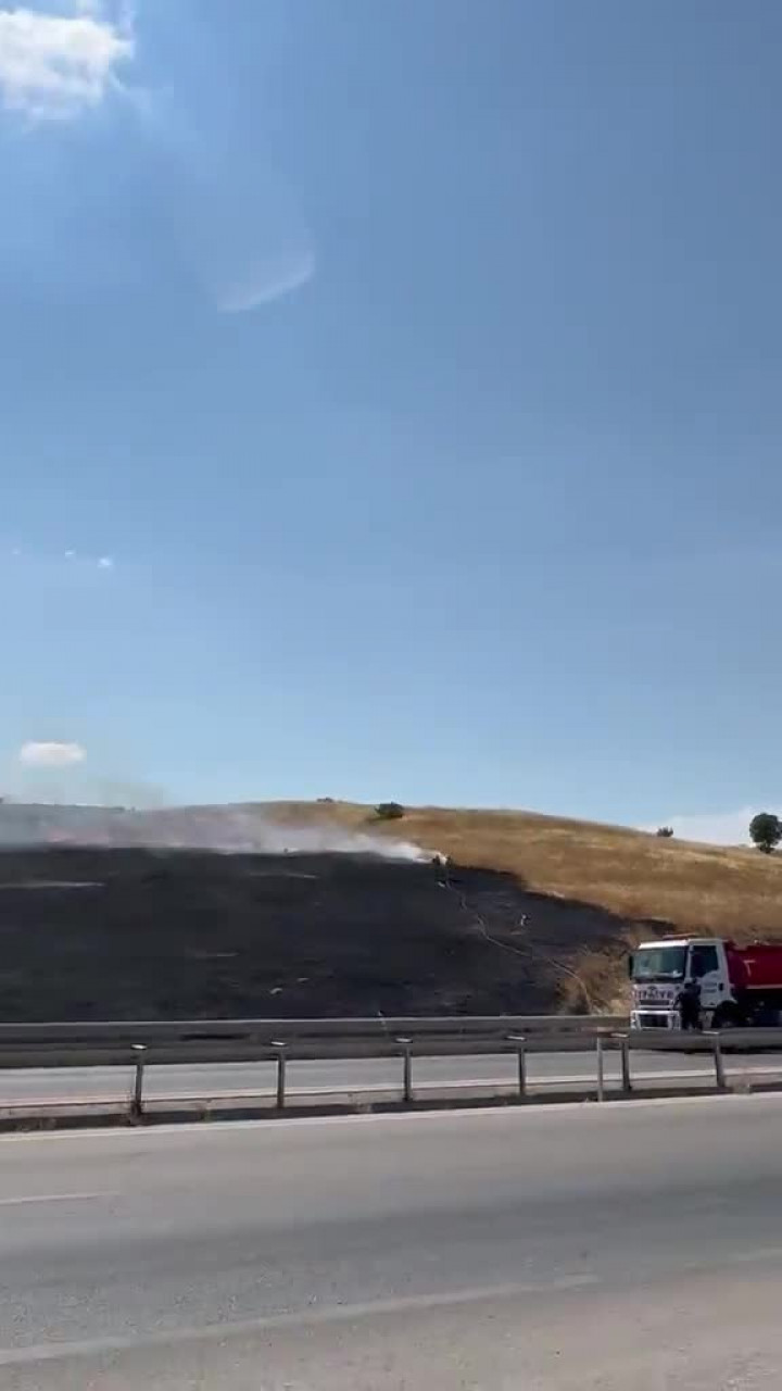 Bursa'da ayçiçeği tarlasında yangın! Ekipler seferber oldu