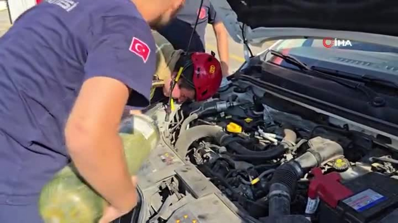Bursa'da itfaiyeyi alarma geçiren miyavlama! Yavru kedi motorun içinden çıktı