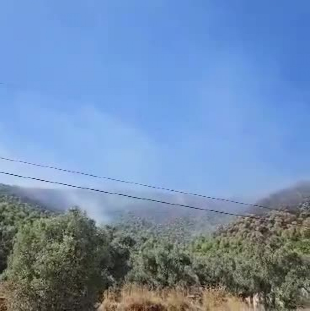 Bursa'da orman yangını paniği! Alevlere havadan ve karadan müdahale...