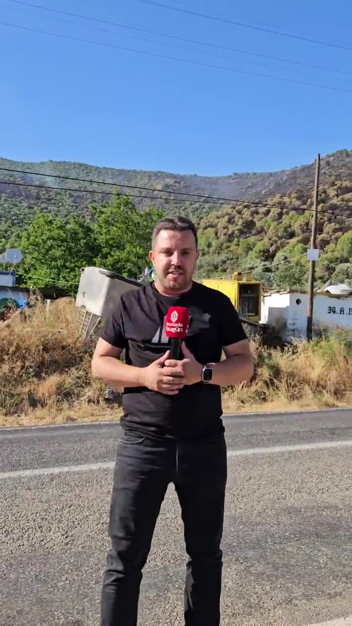 Bursa'da orman yangını! Alevler hızla yayılıyor
