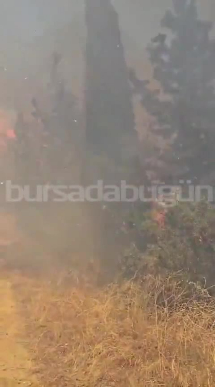 Bursa'daki yangında alevler böyle harladı: 'Aman Allah'ım...'