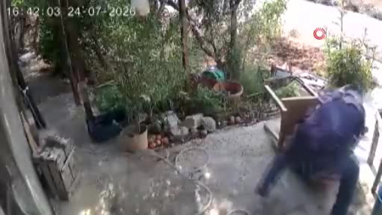 Kask ve eldivenle geldi, yaşlı adamın boynunu kırmaya çalıştı! Dehşet anları kamerada