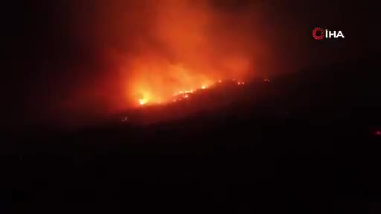 Aydın'daki orman yangınında kritik gece! Alevler mahallelere kadar ulaştı