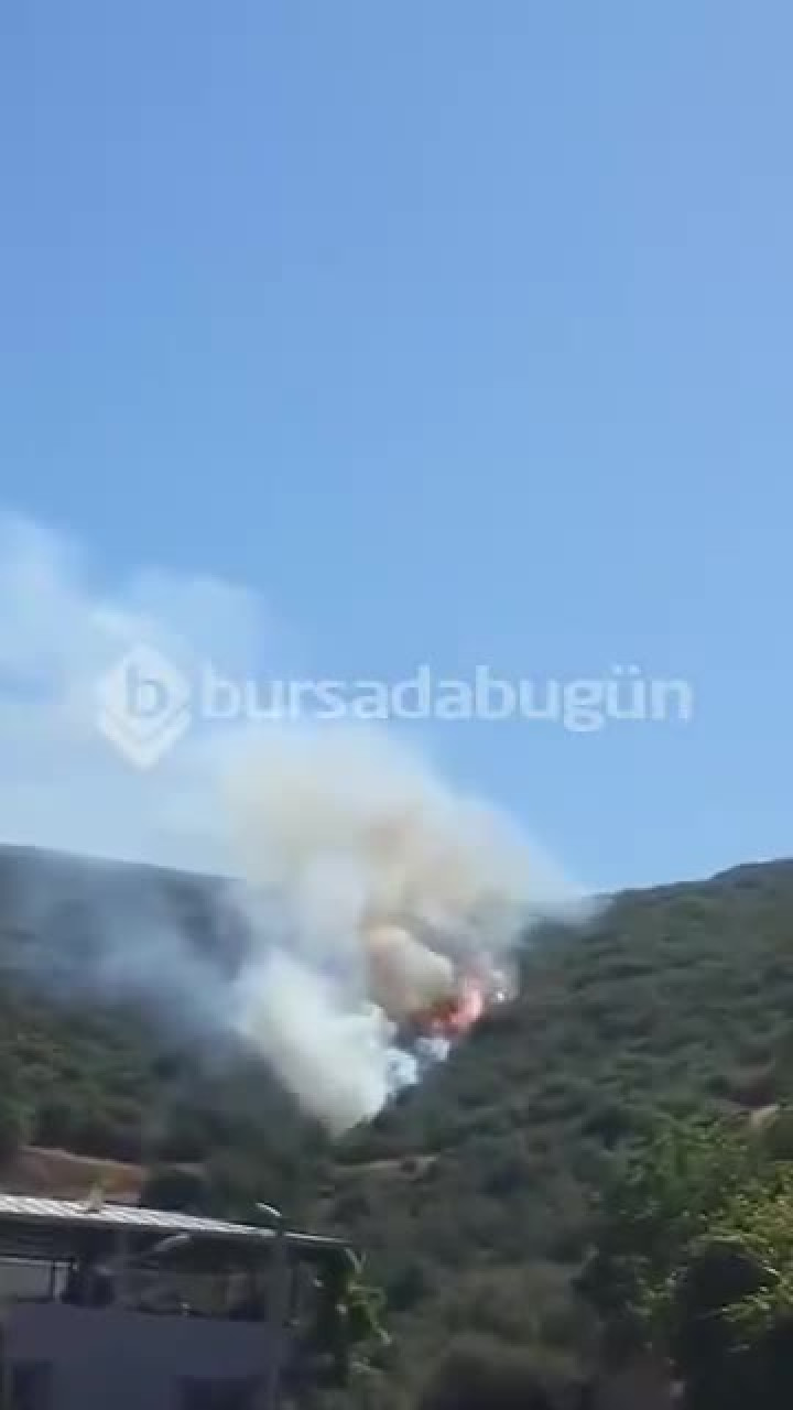 Bursa'da orman yangını başladı! Ekipler olay yerinde...