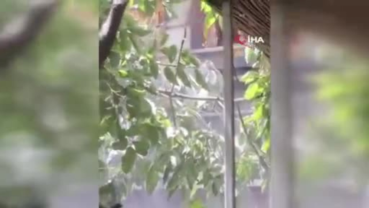 Baba istemeden oğlunun iş yerini yaktı!