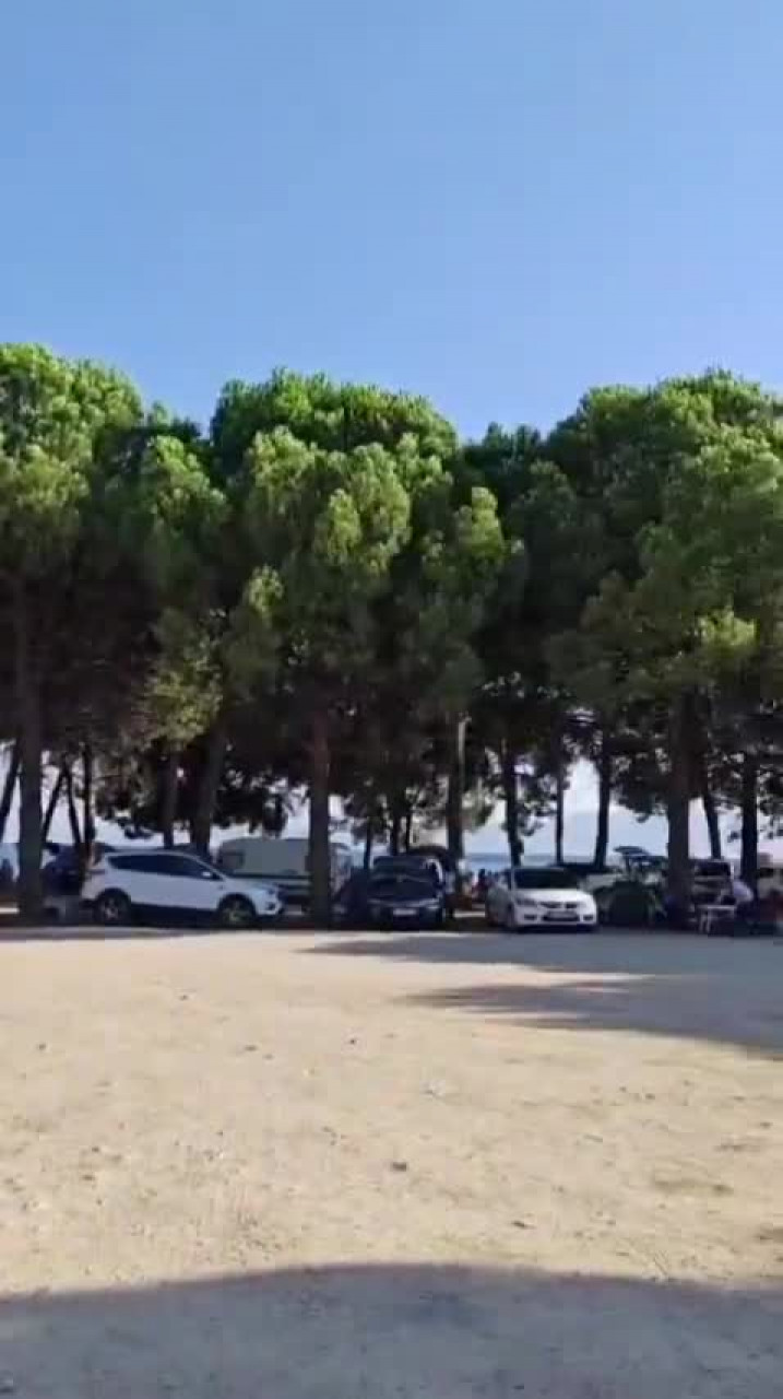 Bursa'dan akın edilen fıstıklı piknik alanı'nda tepki: 400 tl alınıyor, hijyen ve altyapı sorunları bitmiyor