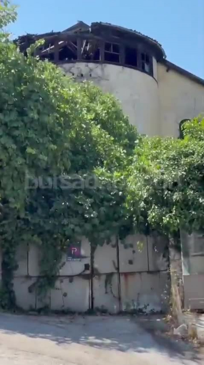 Bursa'da tarihi binayı sarmaşıklar yuttu! Mahalle sakinlerinin bir endişesi var...
