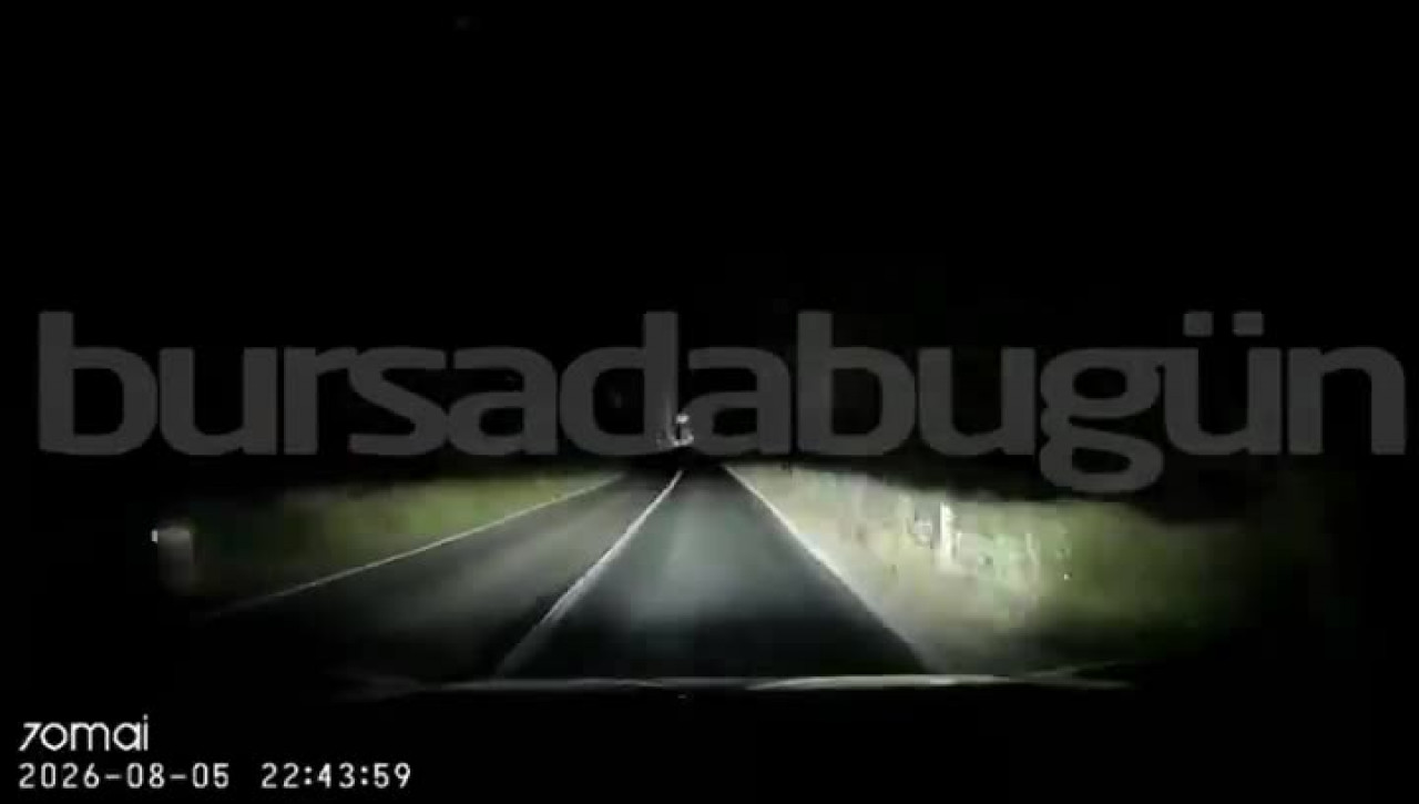 Bursa'da otomobil domuza çarptı! Kaza anı kamerada...