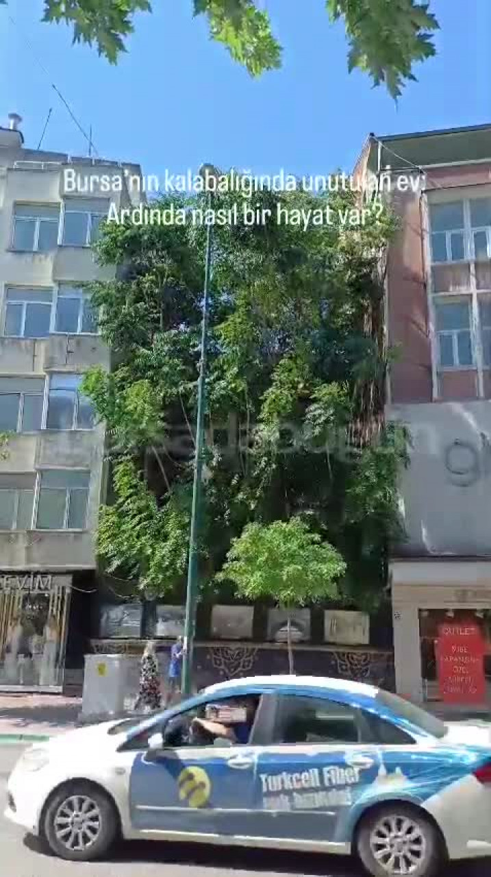 Bursa'nın göbeğinde tarih çöküyor! Hayri Köstem evi kaderine terk edildi