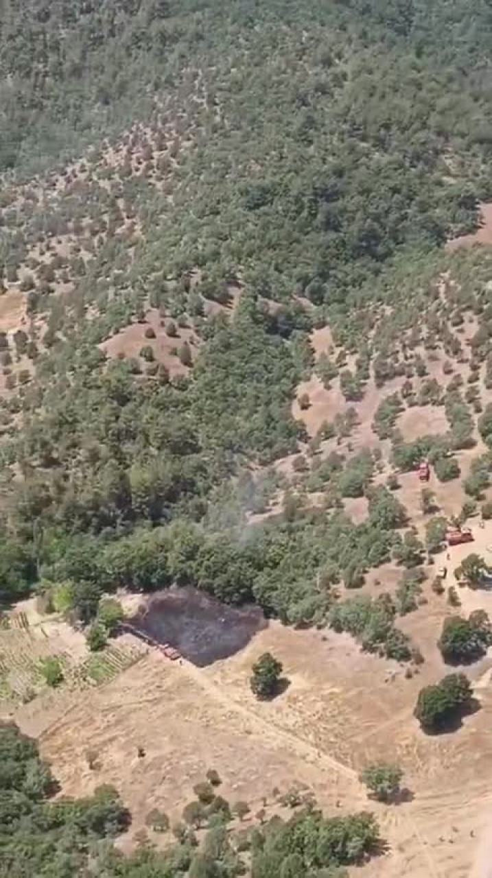 Bursa'da orman yangını paniği! Helikopterler peş peşe havalandı