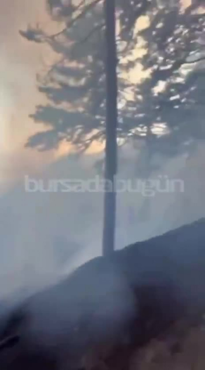 Bursa'da orman yangını başladı! Uludağ'da alevler büyüyor...