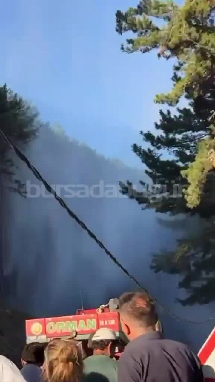 Bursa'da orman yangını başladı! Uludağ'da alevler büyüyor...