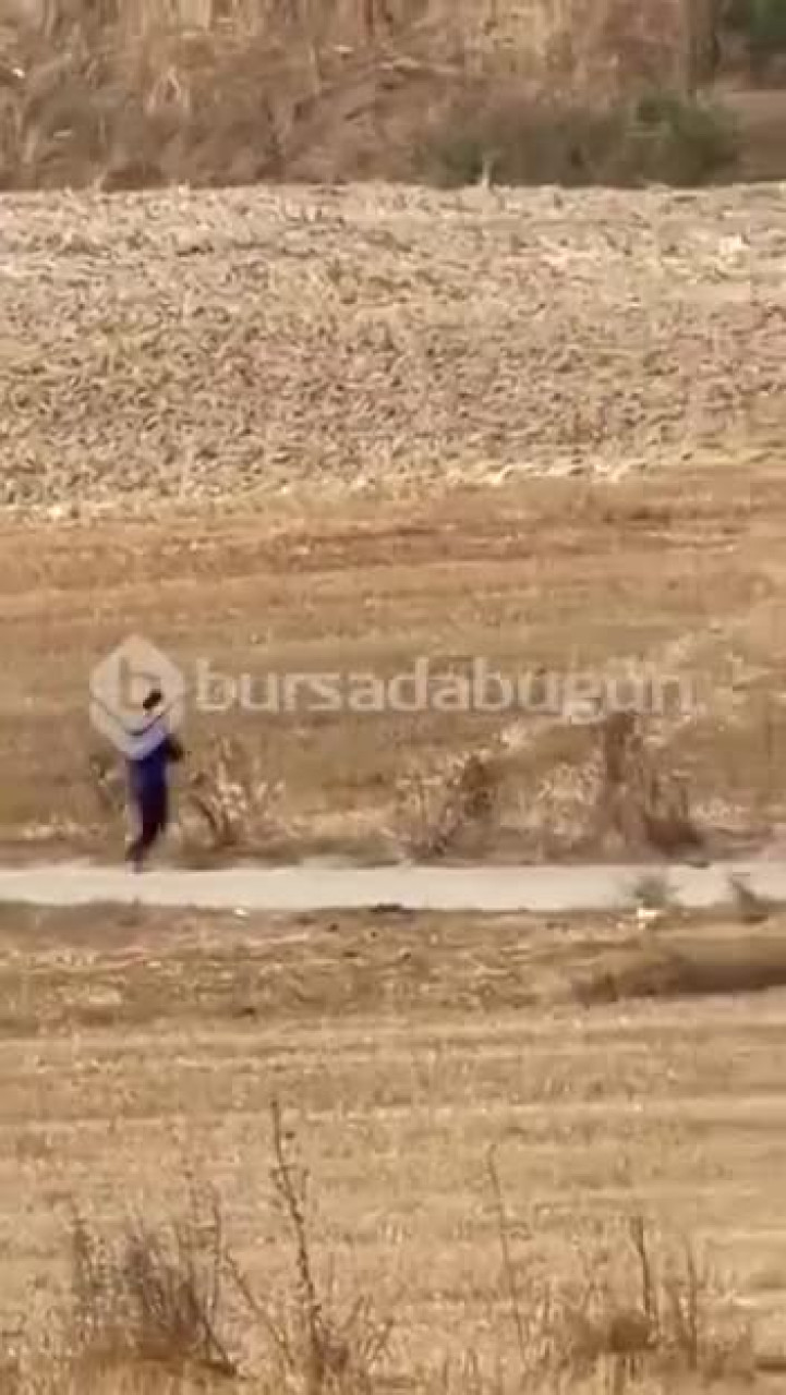 Bursa'da pes dedirten olay! Tarlayı yakıp koşarak kaçtı, o anlar kamerada...