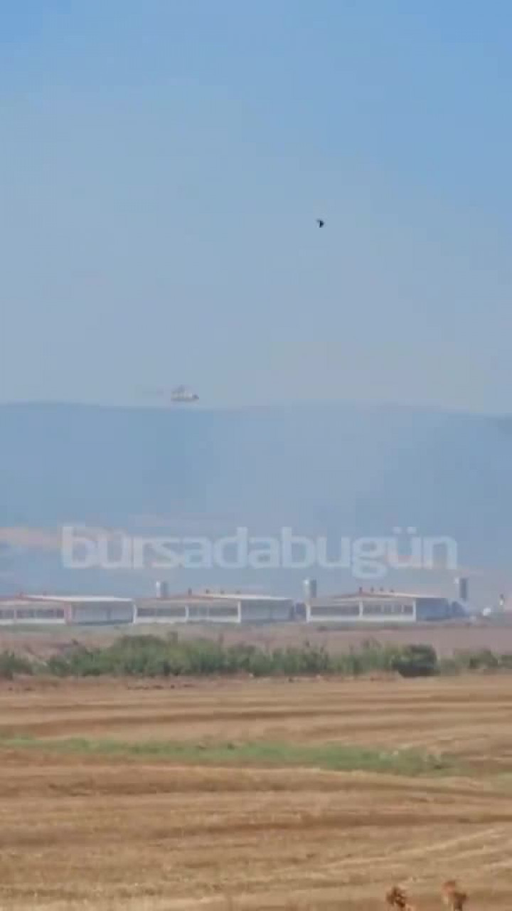 Bursa'da makilik alanda yangın çıktı! Müdahale sürüyor...